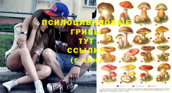 альфа пвп Коряжма