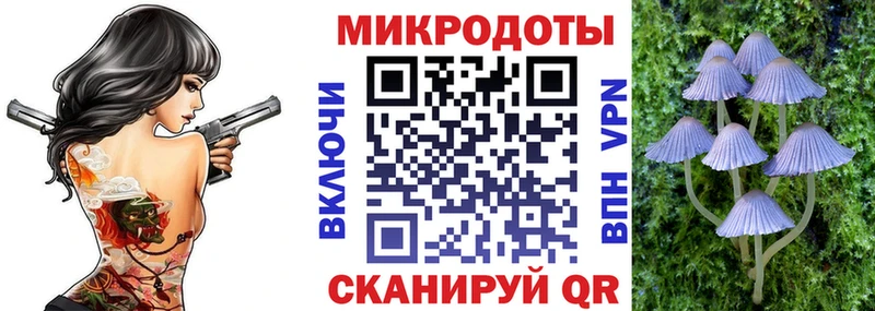 Купить закладки  Долинск  Галлюциногенные грибы Magic Shrooms 